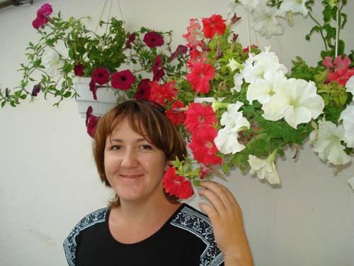 Гостиница Lastochka Николаевка